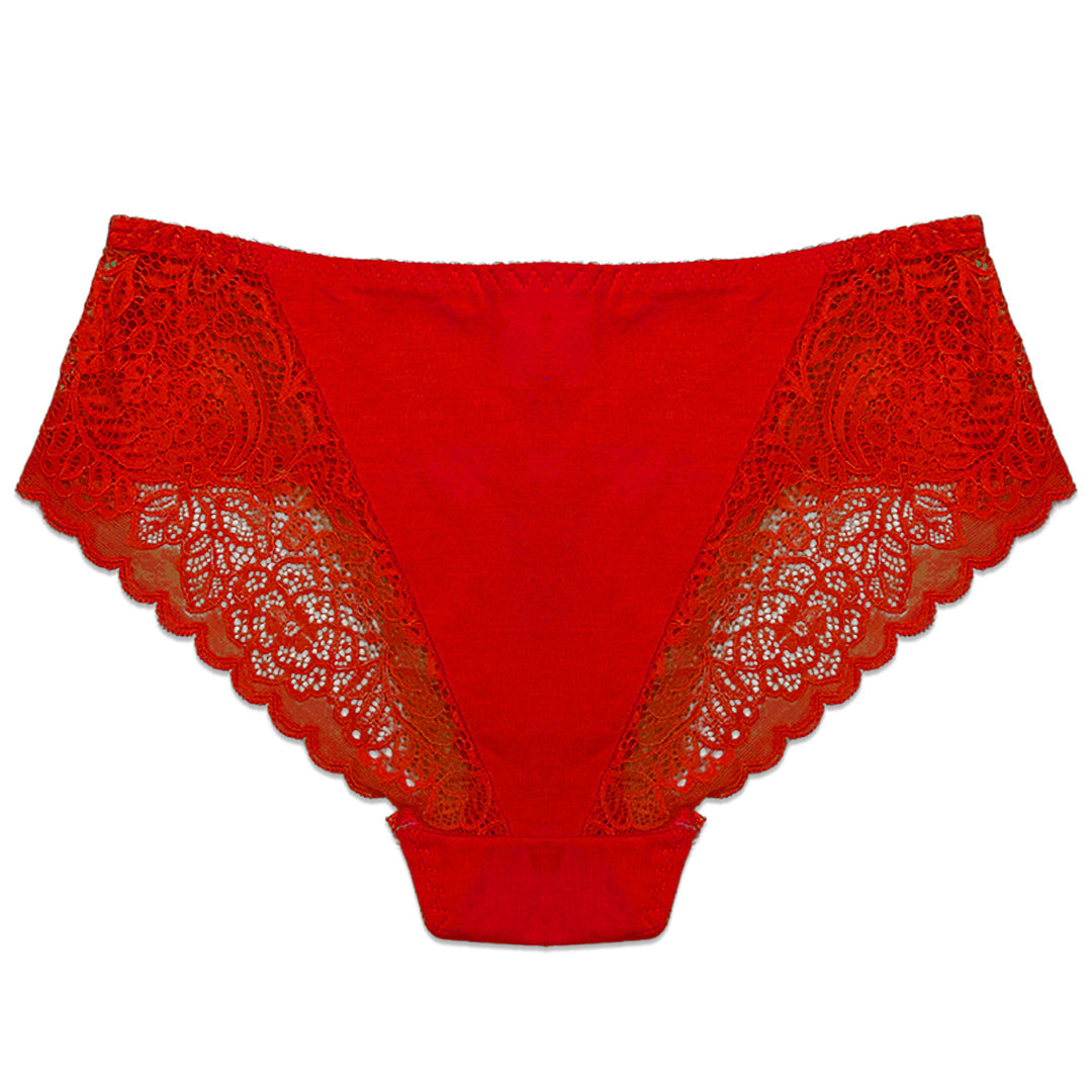 Pack of 3 Briefs Panties - Lace Desire