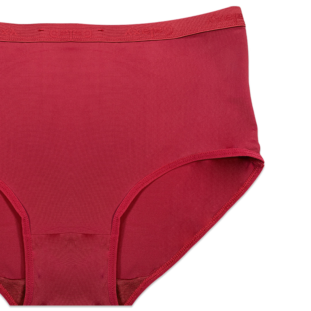 Pack of 3 Briefs Panties - Comfort Cotton